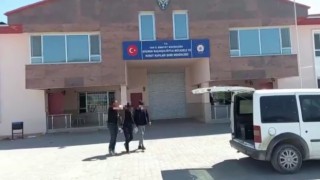 Vanda 5 organizatör tutuklandı