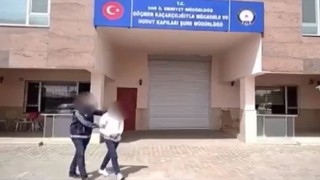 Vanda 6 organizatör tutuklandı