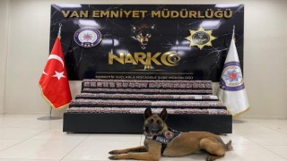 Vanda 80 kilo uyuşturucu ele geçirildi