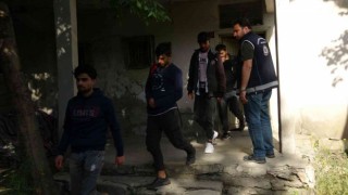 Vanda 9 düzensiz göçmen yakalandı