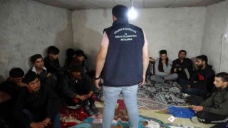 Vanda bir evin bodrumunda 24 düzensiz göçmen yakalandı
