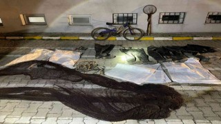 Vanda kaçak avlanmış 4,5 ton canlı inci kefali ele geçirildi