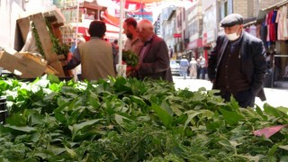 Vanda sebze fideleri yoğun talep görüyor