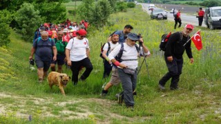 Vatandaşlarla 70 kilometre yürüyen köpek, İstiklal ismini aldı