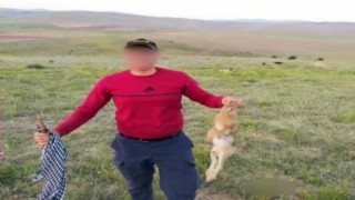 Vurdukları tavşanı köpeklere parçalattırıp sosyal medyada paylaştılar