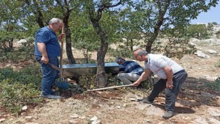 Yaban hayvanları için su teknesi bırakıldı