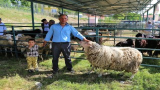 Yaklaşan Kurban Bayramı besicileri umutlandırdı