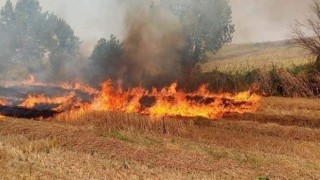 Yalova Altınova itfaiyesinden orman ve anız yangını uyarısı