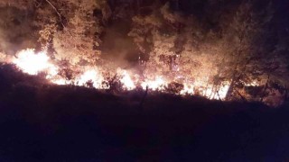 Yangına 576 personel, 148 arazöz, 53 iş makinesi müdahale ediyor