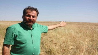 Yangınlar çiftçinin geleceğini, ülkenin ekonomisini yok ediyor