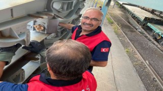 Yaramaz kedi sıkıştığı yerden zeytinyağı ile kurtarıldı