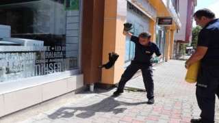 Yaramaz yavru kedi ekipleri çok uğraştırdı