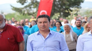 Yavru kedileri poşet içerisinde canlı canlı çöpe atmışlar