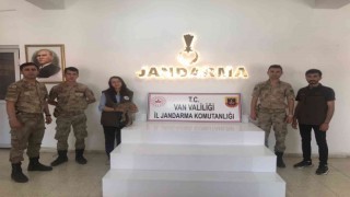 Yavru yaban keçisi emin ellerde