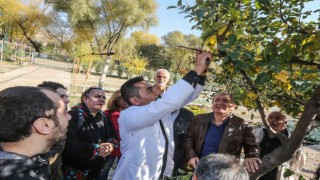 Yenimahallede bahçecilik kursu başladı