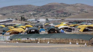 Yenimahallede kurban satış alanında çadırlar kurulmaya başlandı