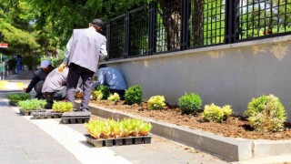 Yenişehirde park ve bahçelerde bakım