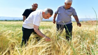 Yeşilyurtta tarımsal üretim hız kazandı