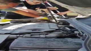 Yılan otomobilin motoruna girdi