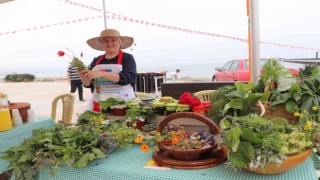 Yöresel Ot Yemekleri Festivali: 1878 çeşit ot tanıtıldı