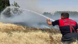 Yüksek gerilim hattı buğday tarlasını kül etti