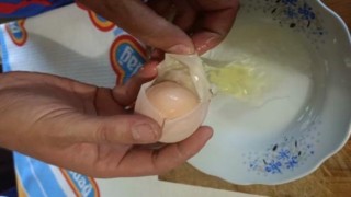 Yumurtanın içinden yumurta çıktı