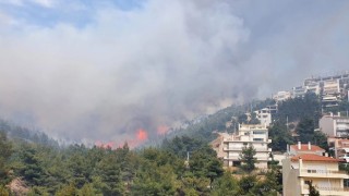 Yunanistanda büyük yangın, bazı bölgelerde tahliyeler başladı
