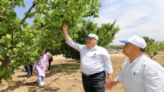 Yunusemre üreticiyi destekliyor, ekonomiye katkı sağlıyor