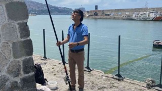 Yunuslar binlerce istavriti limana sıkıştırdı, vatandaşlar kova kova balık avladı