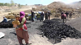 Yüzlerinde kömür karasıyla mevsimlik işçiler