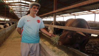 1 tonluk Rüzgar alıcısını bekliyor