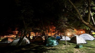 1. Van Denizi Yüzme Festivali başladı
