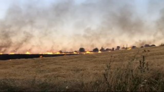 130 dönüm ekili bezelye ile 40 dönüm buğday alev alev yandı