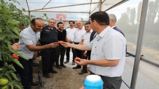 17. Söğüt Domates Kültür Festivali başladı
