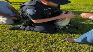 ABDde polis timsahı elleriyle nehre götürdü