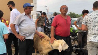 Adanalılar kurbanlıkları akşam serinliğinde aldı