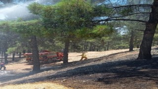 Adıyamanda orman yangını korkuttu