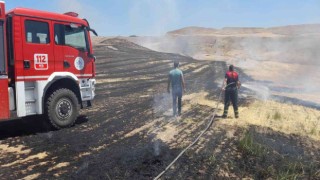 Adıyamandaki anız yangını korkuttu