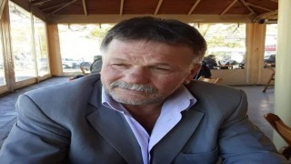 Ağaçtan düşen şahıs hayatını kaybetti