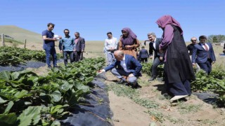 Ağrı Valisi Varoldan Kadın Kooperatifine ziyaret