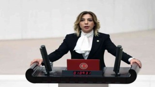 AK Parti Muğla Milletvekili Gökcandan 24 Temmuz Basın Bayramı mesajı