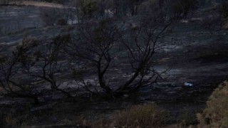 Akhisardaki orman yangını devam ediyor