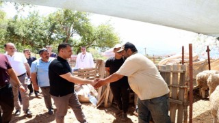 Alanyada kapalı hayvan pazarı ve kurban satış yeri hizmete girdi