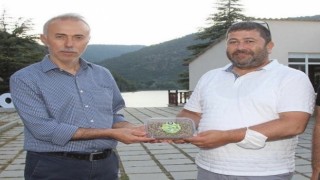 Amasyada yapılan yatırımları incelediler