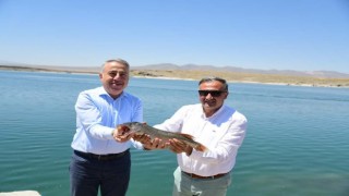 Amatör balıkçılar Kayseride