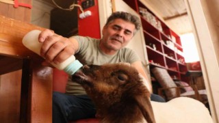 Annesi ölen kuzuyu bebeği gibi besliyor