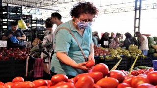 Antalyada dört gözle beklenen yayla domatesi pazarla buluştu
