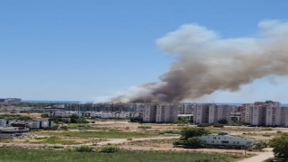 Antalyada orman yangını