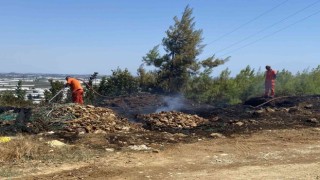 Antalyada ormanlık alanda çıkan yangın korkuttu
