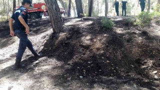 Antalyada ormanlık alanda çıkan yangında kibrit kutuları bulundu